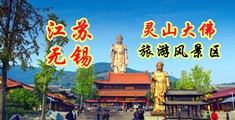 美穴视频江苏无锡灵山大佛旅游风景区